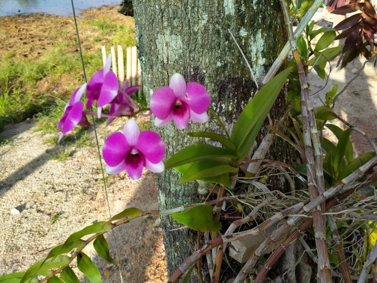 Khum Thong Resort Takuapa المظهر الخارجي الصورة